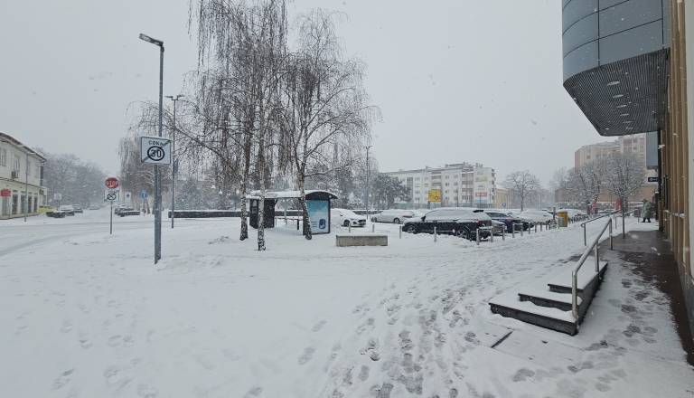 20260106_150726.jpg