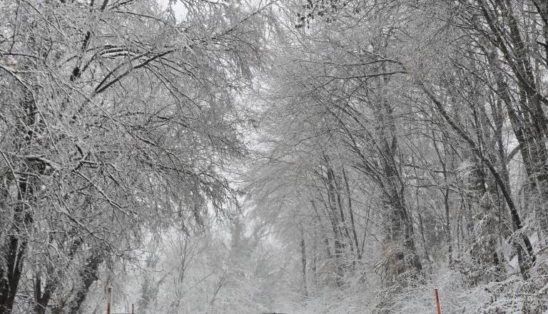 20260220_101704.jpg