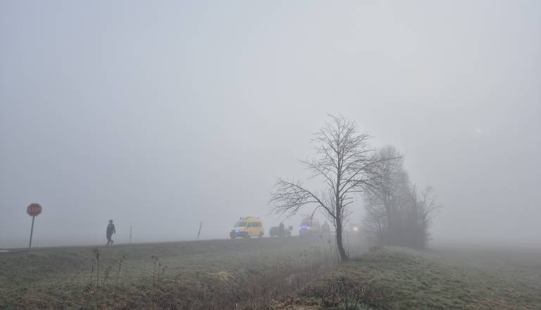 20260303_075825.jpg