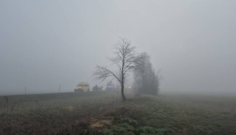 20260303_075839.jpg