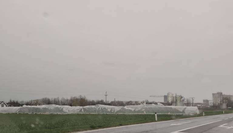 20260327_081109.jpg