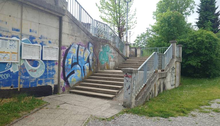 20260506_094826.JPG