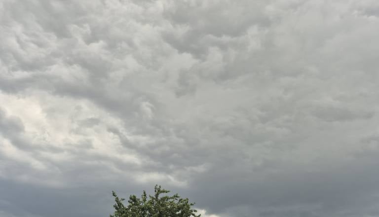 20260701_174048.jpg