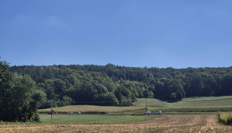20260826_112634.jpg