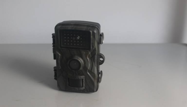 56017.jpg