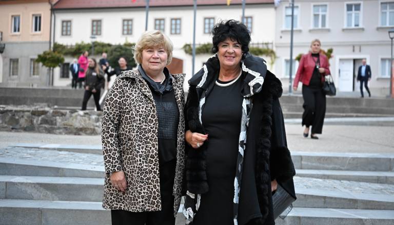 Dan Maribora proslava-11.jpg
