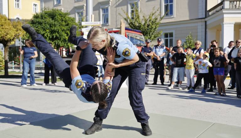 Prikaz uporabe borilnih veščin.JPG