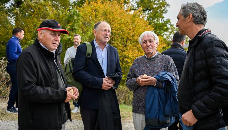 Zasaditev vinograda Piramida-16.jpg