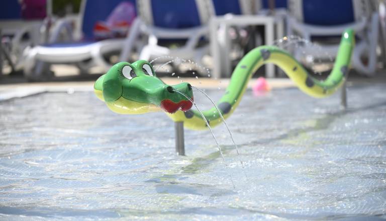 _dsc7893.JPG