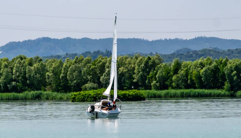 brodarsko-drustvo-ranca-ptuj-14-junij-tradicionalna-regata-ob-dnevu-drzavnosti-09.jpg