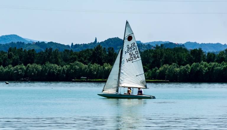 brodarsko-drustvo-ranca-ptuj-14-junij-tradicionalna-regata-ob-dnevu-drzavnosti-16.jpg