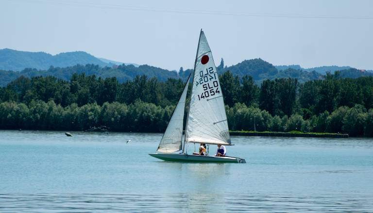 brodarsko-drustvo-ranca-ptuj-14-junij-tradicionalna-regata-ob-dnevu-drzavnosti-19.jpg