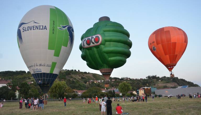 d7m_3463.JPG