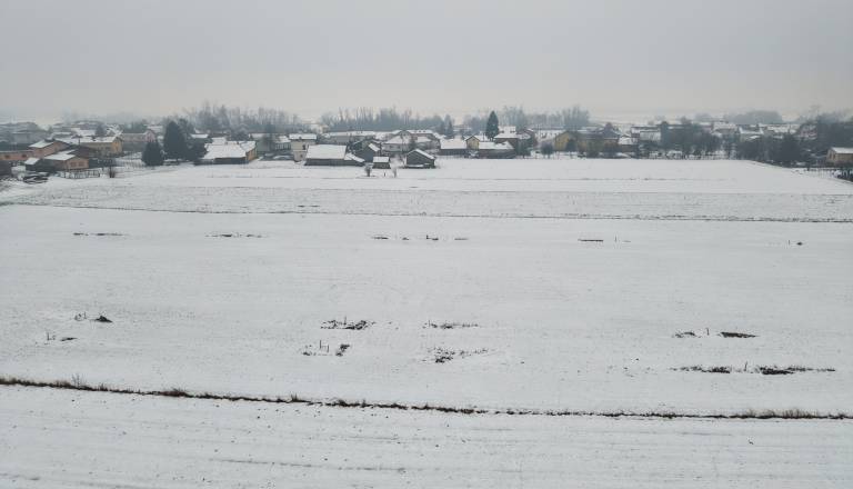 dji_20260125150802_0121_d-2.jpg