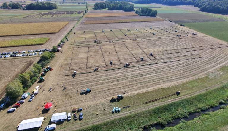 dji_fly_20260912_101210_0350_1789208286953_photo_beautify-large.jpeg