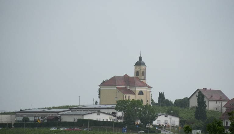 dsc00296-copy.JPG