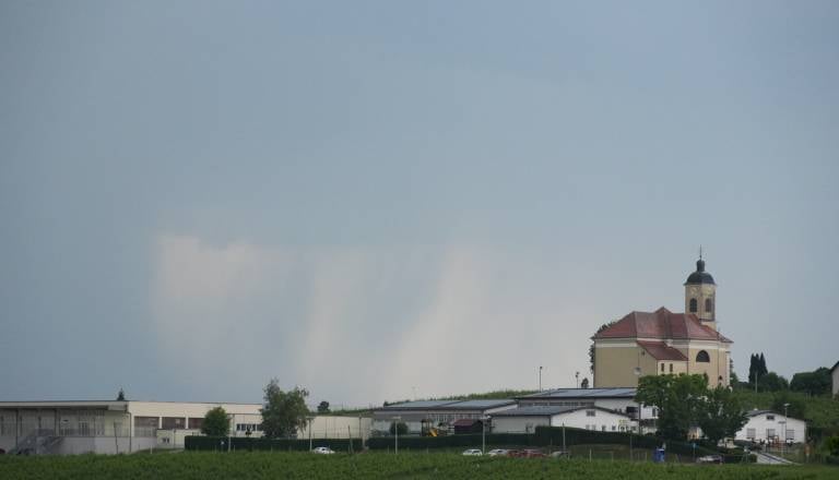 dsc00305-copy.JPG