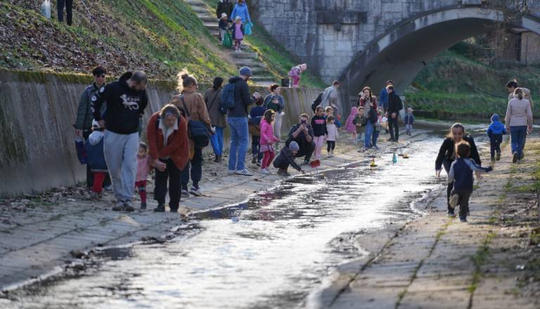 dsc07423.jpeg