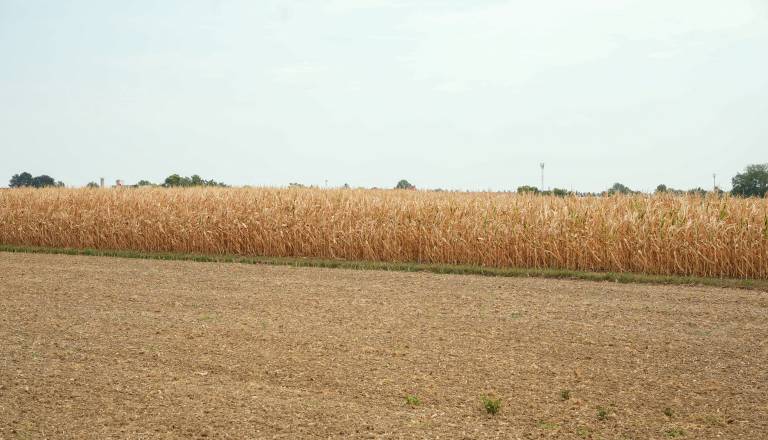 dsc09761-2.jpg