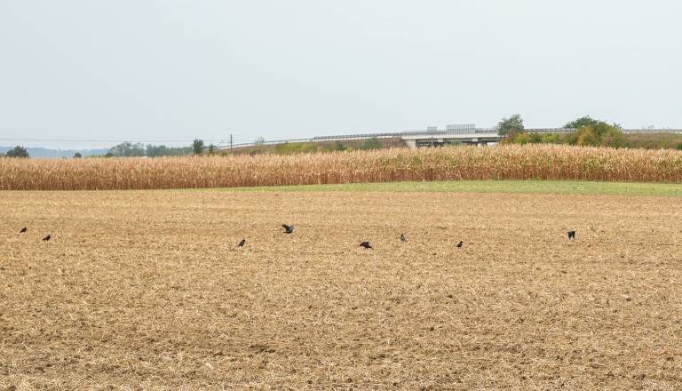 dsc09821-2.jpg
