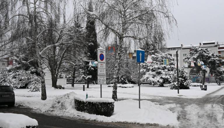dsc_0365.JPG