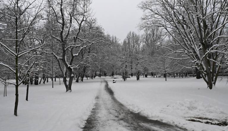 dsc_0368.JPG