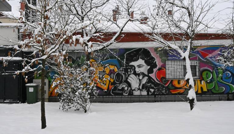 dsc_0369.JPG