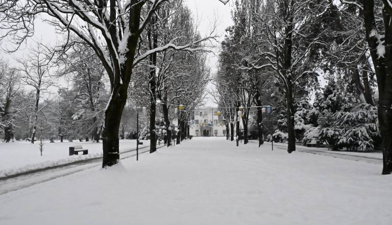dsc_0370.JPG