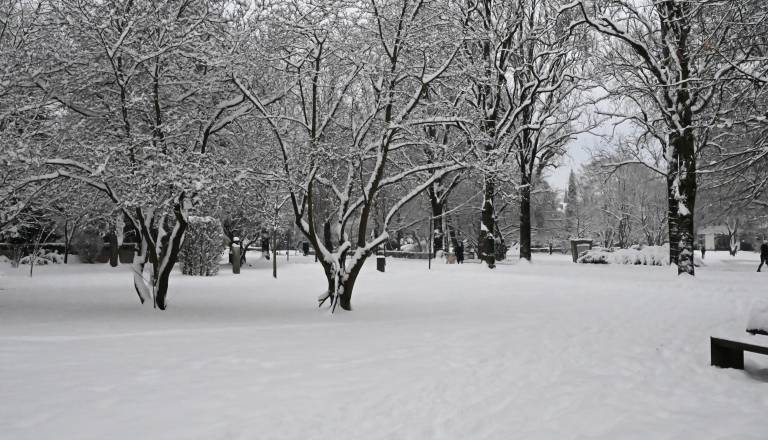 dsc_0378.JPG