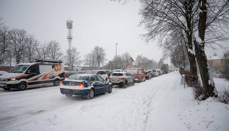 dsc_0455_0.jpg