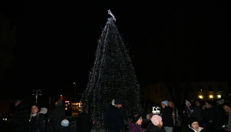 dsc_1021.JPG