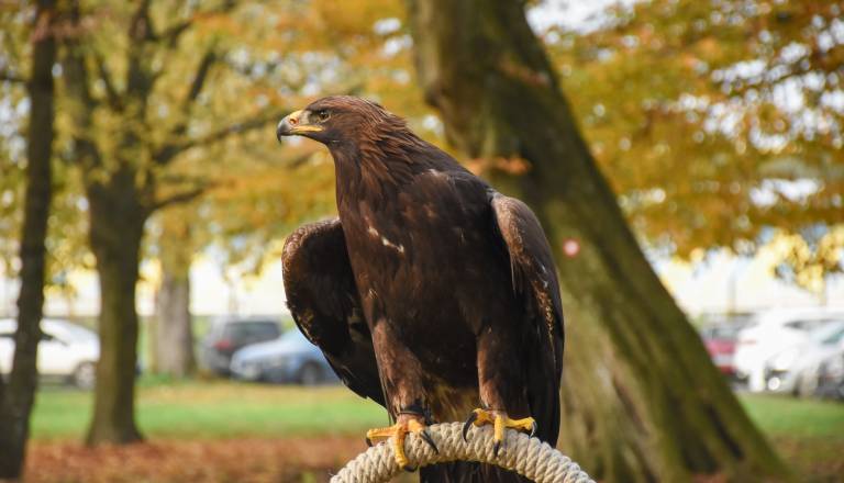 dsc_2979.jpg