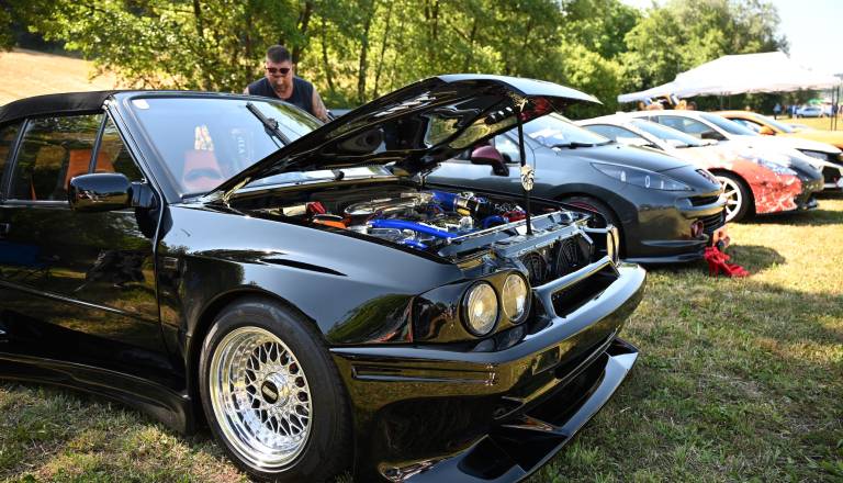 dsc_4924.jpg