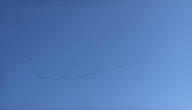 img_1420.JPG