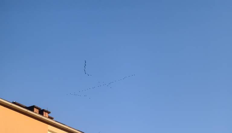 img_20260218_165052.jpg