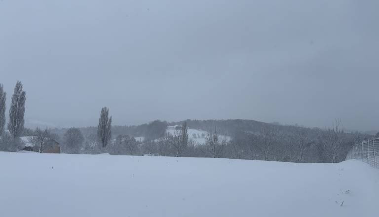 img_9446.JPG