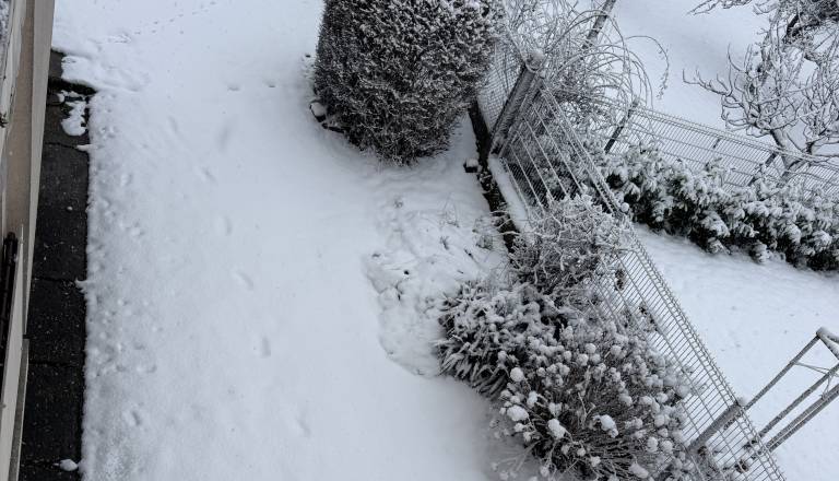 img_9907.JPG