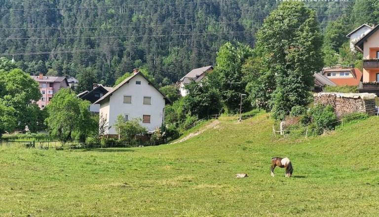 koroska-bela-parcela.jpg