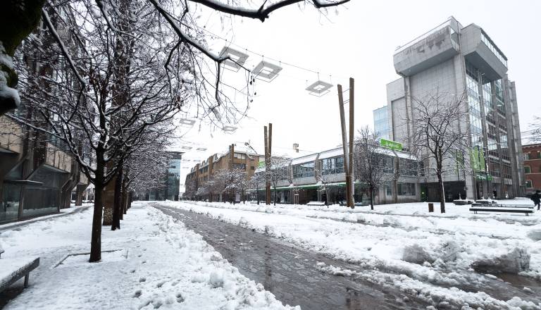 mb_sneg_20-2-2026-1532_jurebanfi.jpg
