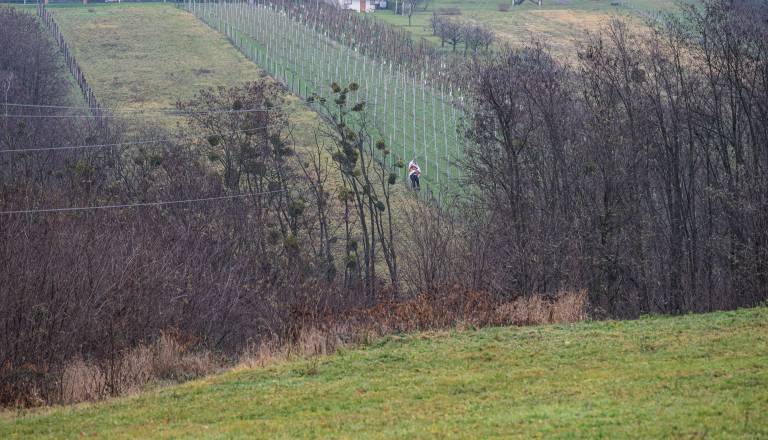 miklavz-na-vinariumu-08.jpg