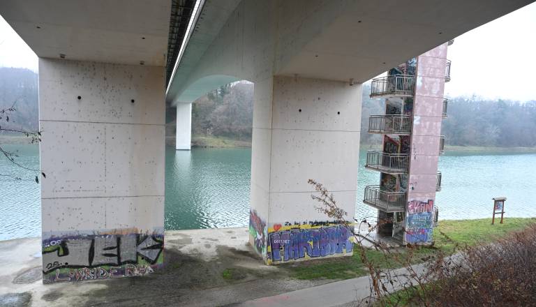 mvz_2790_3.JPG
