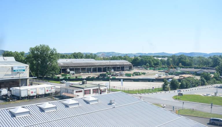 mvz_7100.jpg