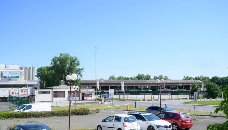 mvz_7103.jpg