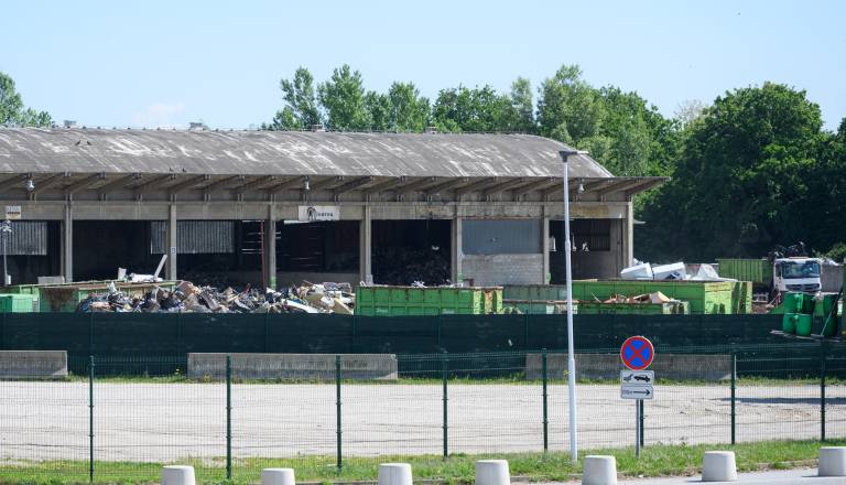 mvz_7139.jpg