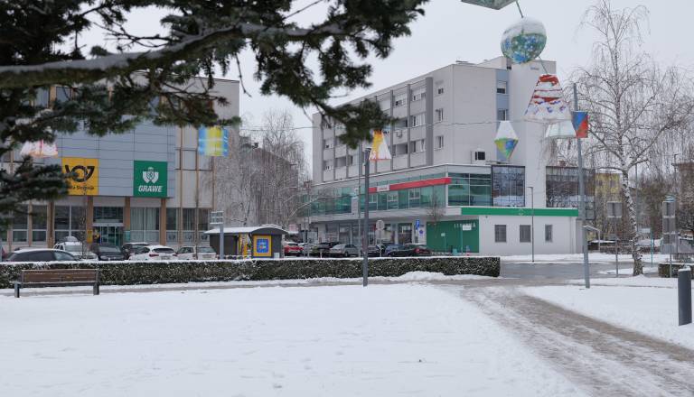 p1035421.JPG