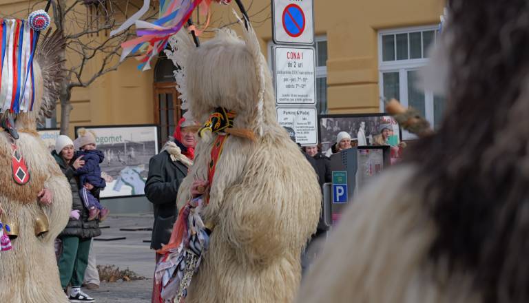 p1060610.JPG