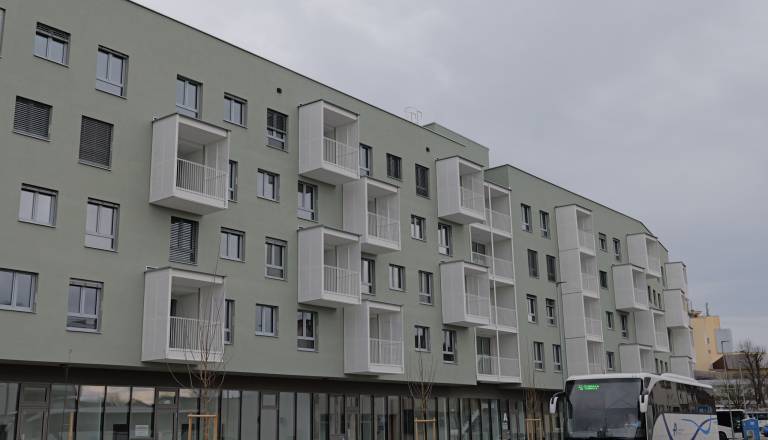p1060761-2.jpg