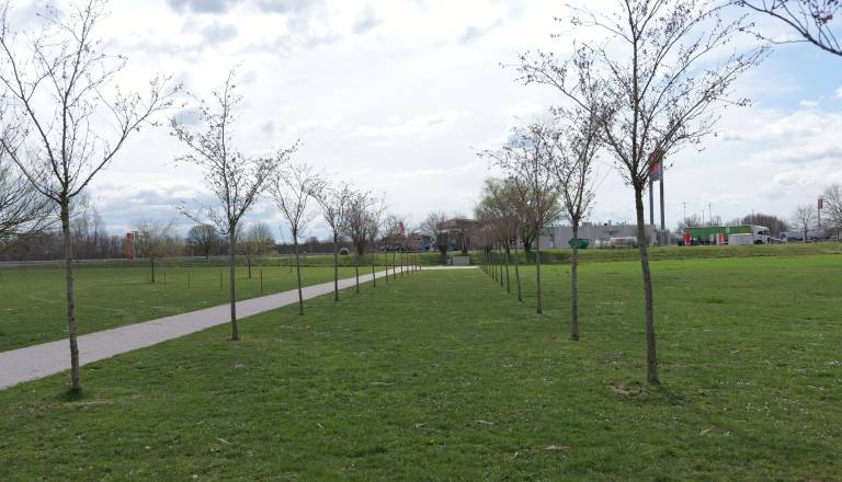 p1072442.JPG