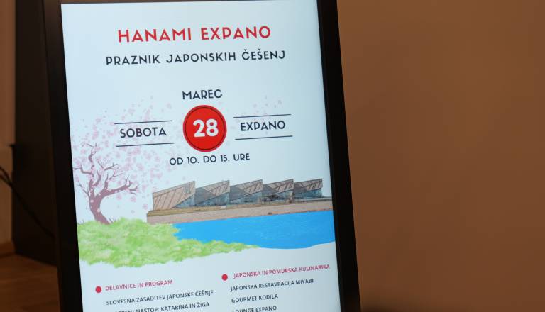 p1072465.JPG