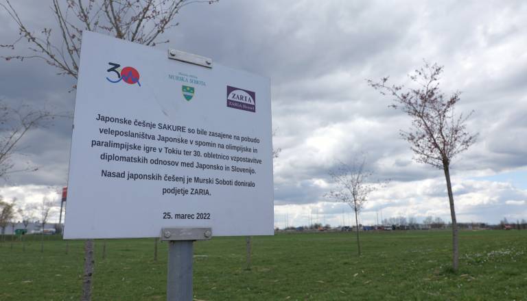p1072479.JPG